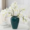 7 Heads Artificial Phalaenopsis Orchids Handmade Decorative Realistic Moth Orchids Real Touch Phalaenopsis Branch