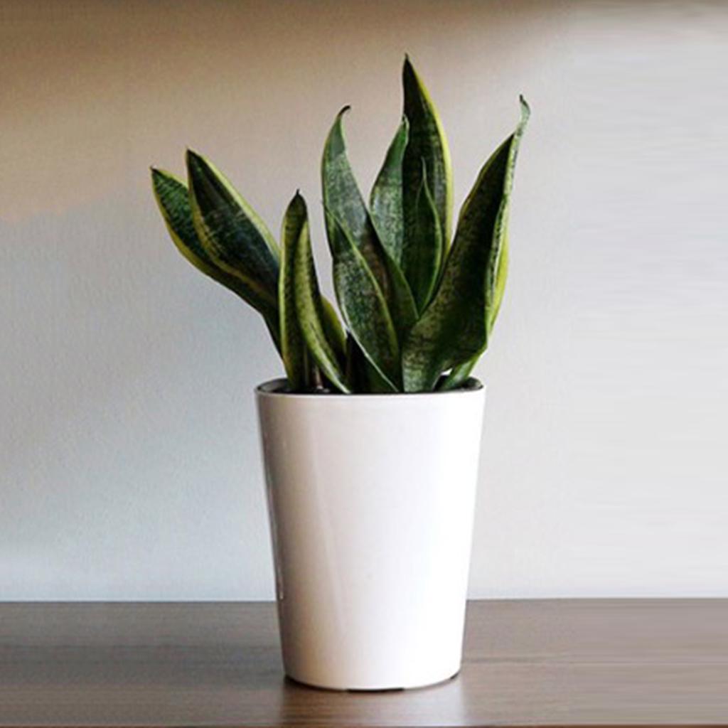 Plastic Plant Pot Self Watering Flower Pot Multifunctional Water-Absorbing Flowerpot with Drainage Holes for Home Garden Supplie