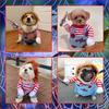 Island Puppy Halloween Pet Dog Chucky Cosplay Costume with Two Legs and Hat (Size L)