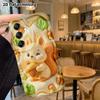 Phone Case: 2D flat, fits Samsung Galaxy A34 A35 M05 M06 S20 S22 S21 FE Plus 5G protective cases, featuring a cute little acorn squirrel, perfect Chri