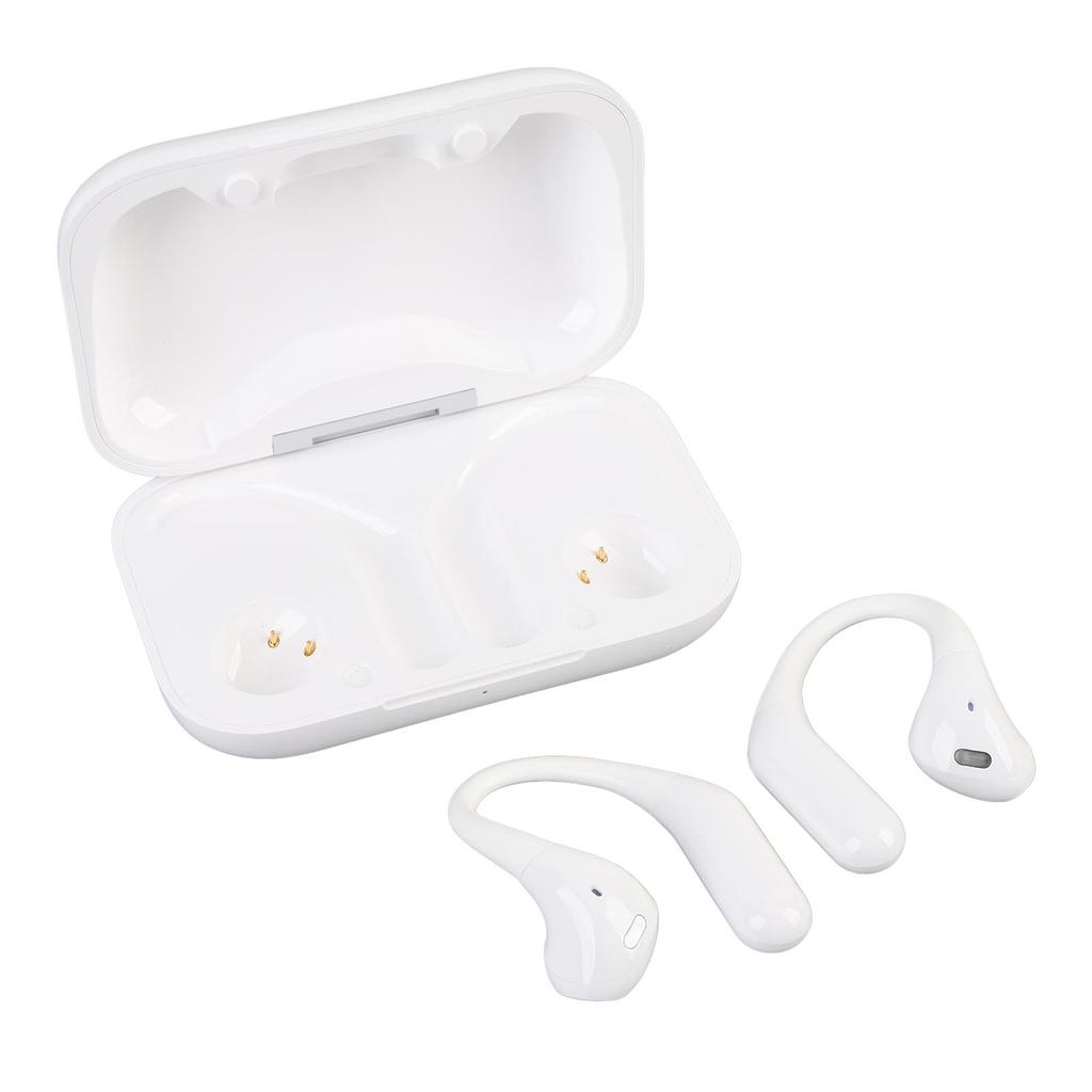 Real Time Translation Earbuds Noise Reduction Wireless Bluetooth Translator Earphones Support Multi