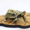 Feng Shui Bronze Turtle Ornaments: Retro Solid Copper Longevity Turtle Tea Pet and Lid Holder.