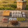 130 Pcs Set Durable Queen Bee Rearing Grafting Kit Plastic Beekeeping Queen Rearing Box  Beekeepers