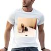 Top – T-shirts