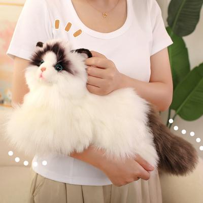 50cm Realistická hadrová kočka Plyšové hračky Plyšové zvíře Plyšová simulační kočka Hračka Narozeninové dárky Dívka Dítě