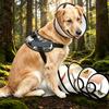 Pet Elizabeth Collar for Dogs Cats Anti-Bite Recovery Cone with Wound Healing Accessories Small To Large Puppy Grasping Ring