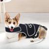 Roupa e sapatos – Coletes e camisas para cães
