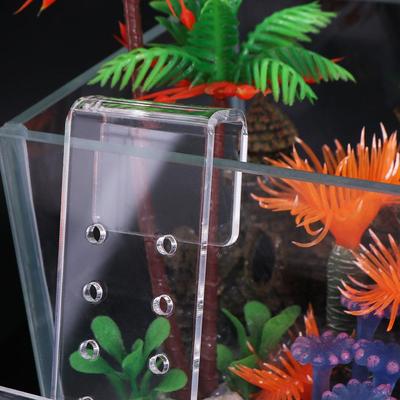 Wall Hanging Aquarium Plants Cup Floating Transparent Aquatic Planter Holder With Suction Cups Adjustable Fish Tank Planting Cup