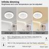 2 In 1 Ceiling Fan Lamps E27 Socket with Remote Control Modern Ceiling Fan Low Profile Ceiling Fan for Living Room Bedroom Study