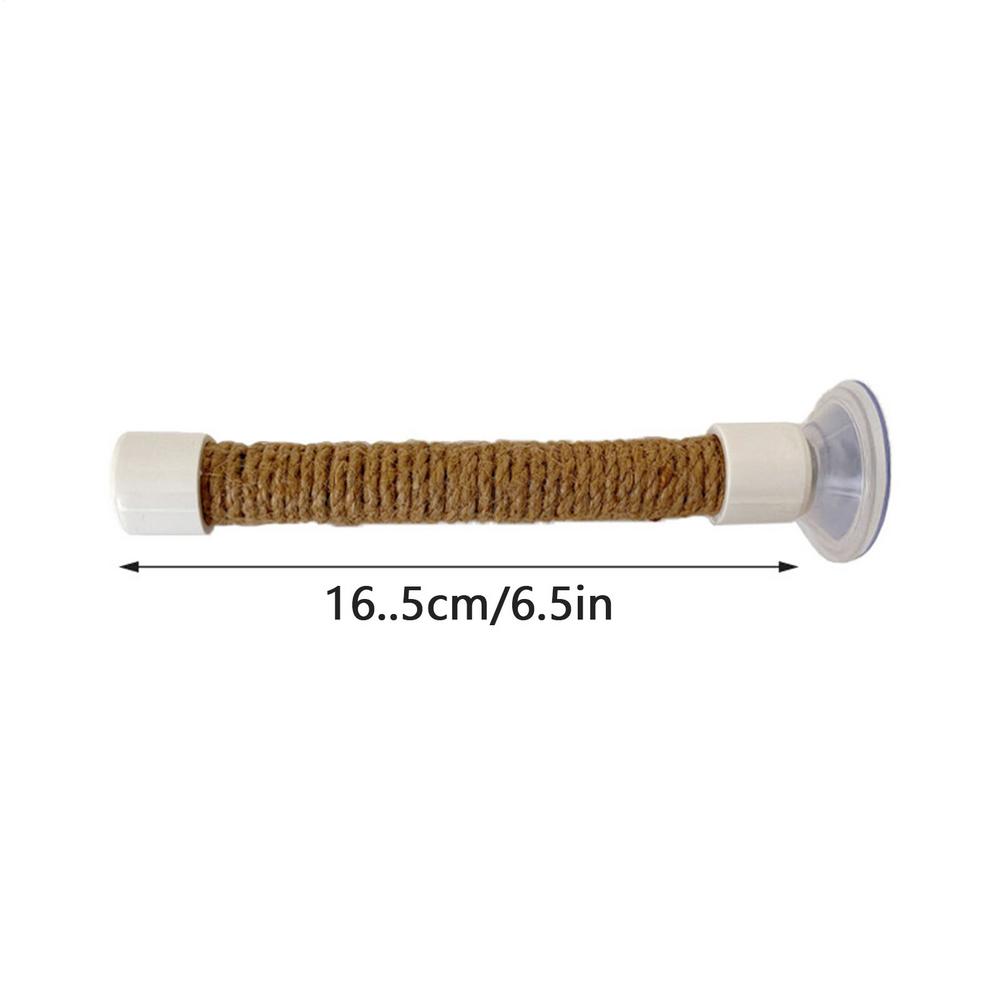 Suction Cup Bird Window And Shower Perch Toy For Parrot Macaw Cockatoo African For Grey Conure Parakeet Parrot bracket