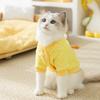 Autumn and Winter Cat Pineapple Fleece Pocket Bear Two-legged Fleece Jacket Thickened and Warm Winter Clothes Medium and Small Dog Pet Clothes