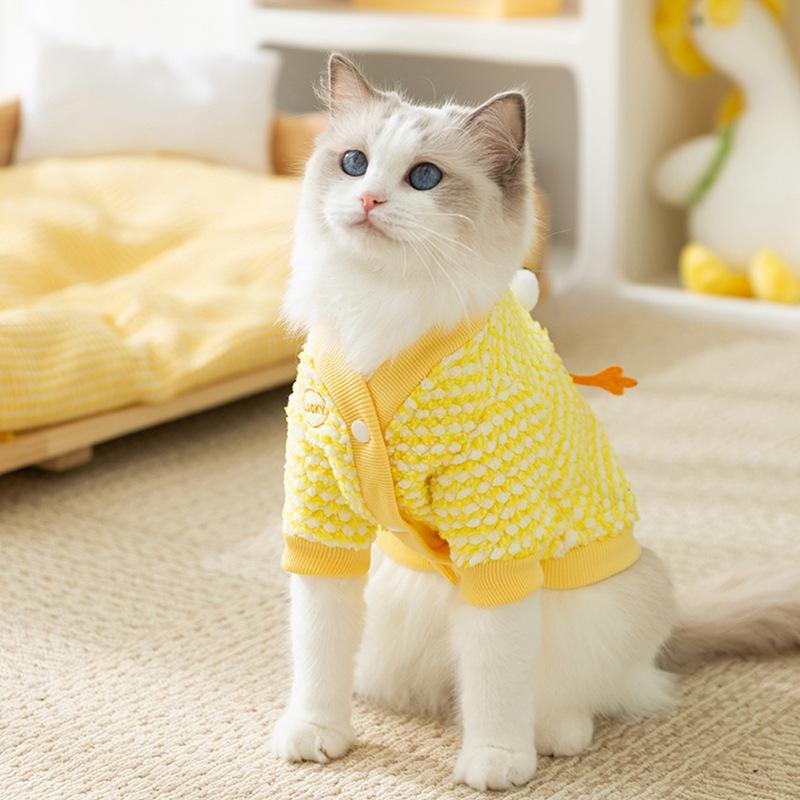 Autumn and Winter Cat Pineapple Fleece Pocket Bear Two-legged Fleece Jacket Thickened and Warm Winter Clothes Medium and Small Dog Pet Clothes