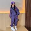 Children's Spring & Autumn 2-Piece Tracksuit - Toddler To Teen Girls: Pullover + Jogger Pants