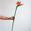 Artificial Flower Simulation Fake Strelitzia Reginae Flower Chinese Home Decoration Wedding Photography Props