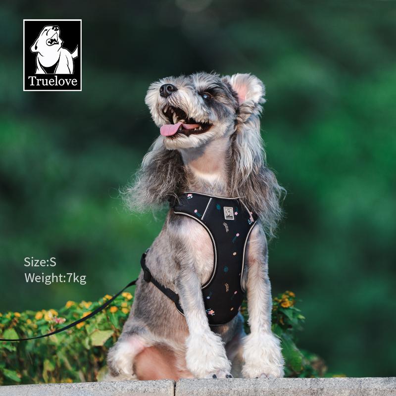 Truelove Hundegeschirr und Leine Set Ultraleicht Atmungsaktiv Hohe Qualität Nylon-Netz Reflektierend Nacht-Training Hund TLH2918