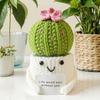 Crochet Cactus Potted Plants, Handmade Knitted Cactus for Home Office Car Decoration, Decorative Plants for Lasting Beauty, Gift for Women Family