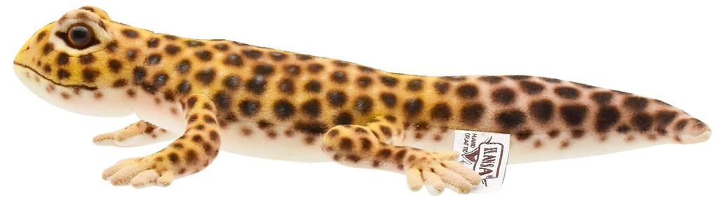 BH8140 HANSA Leopard Gecko 26