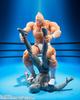 TAMASHII NATIONS S.H.Figuarts Kinnikuman - Perfect Superhuman Ancestor Arc - Approx. 155mm PVC & ABS Painted Movable Figure