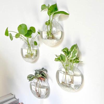 1/2/4/6 stücke Flache Glas Vase Wand Hängen Glas Terrarien Pflanzer Transparent Wand Montiert Vase