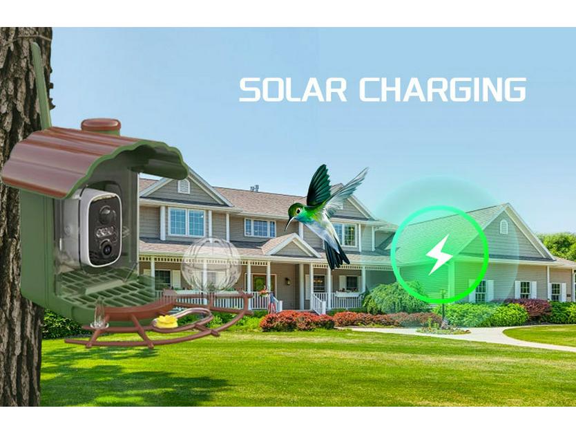 Smart Outdoor Solar Bird Feeder with Camera for Hummingbirds