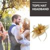 Hemobllo Voile en Maille de Mariée Hauts Chapeau avec Plume, Headpiece en Maille Dorée pour Femmes Mariage Fête du Thé, Accessoire pour Occasion Spéciale