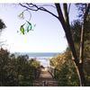 Hummingbird with Flower Stained Glass Suncatcher Bird Stained Glass Window Hangings Hummingbird Gift for Women Home Decor