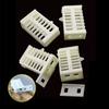White Box-Shaped Bee Queen Cages Thickened Plastic Beehives Bee Anti Escape Frame Beekeeping Tools Beekeeper Supplies 20Pcs
