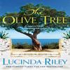 The Olive Tree by Lucinda Riley Paperback Book 9781509824755