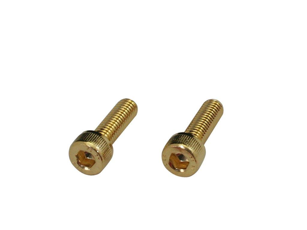 

POSH 810710-016 Stainless Steel Cap Bolts, 24K Plated, M5X16, Pack of 2 M5 x 16