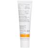 DR. HAUSCHKA Apricot Day Cream