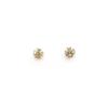 S925 Sterling Silver Exquisite Mini Clover Sparking Zirconium Stud Earrings Women's Small Cold Style