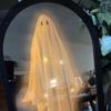 Halloween Hologram Ghost Mirror LED Light Up Spooky Ghost Mirror for Halloween Indoor Outdoor Haunted House Room Decor