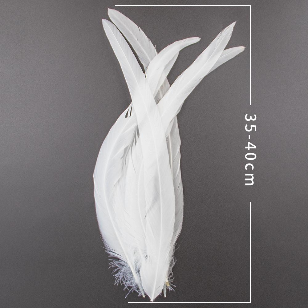 10Pcs/Lot Natural White Pheasant Feathers Wedding Home Party Decoration Length Rooster Plumes Diy Creative Carnival Crafts10-18"