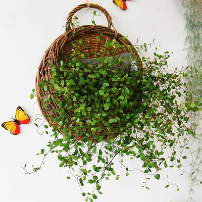 Cachepô de Vime Rattan Feito à Mão Pendurar na Parede Cesto de Vime Rattan Jardim Vaso de Vinha Porta Plantas Cachepô de Parede Decoração para Casa