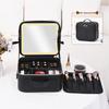 Portable LED Makeup Organizer with Mirror