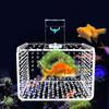 Wall Mount Fish Breeding Box Acylic Floating Hatching Box Fish Tank Isolation Box  for Fish Store
