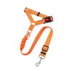 Reflective Elastic Safety Leash for Medium to Large Dogs - Shock-Absorbing and Explosion-Proof Design