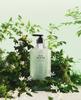 LUV SCENT Perfumed Scrub Body Wash 500ml (4 Options)