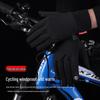 Lishi Outdoor Winter Warm Ski & Cycling Gloves