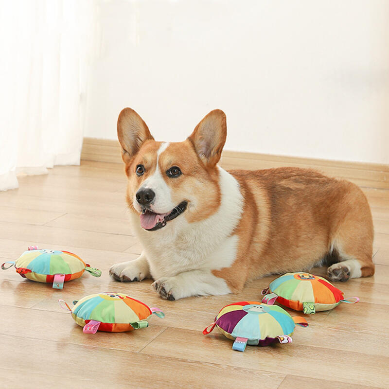 Frisbee Toy Dog Disc
