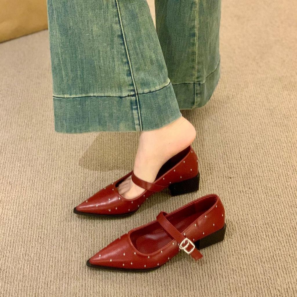 Design Sense Niche Silver Pointed Mary Jane Shoes Women's Spring and Autumn 2025 New Models with Skirts Late Evening Wind Single Shoes Women