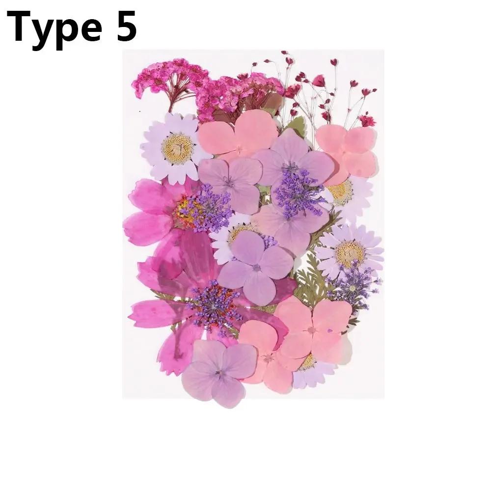 Dried Flowers UV Resin Decorative Natural Flower Stickers 3D Pressed Dried Flowers Beauty Decal Nail Art Epoxy Mold Filling