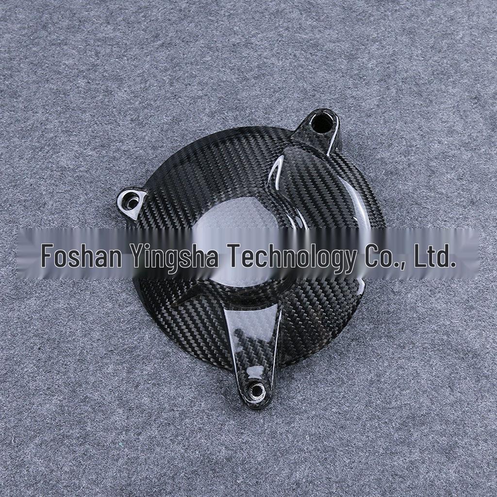 2015-2018 BMW S1000RR Carbon Fiber Engine Cover