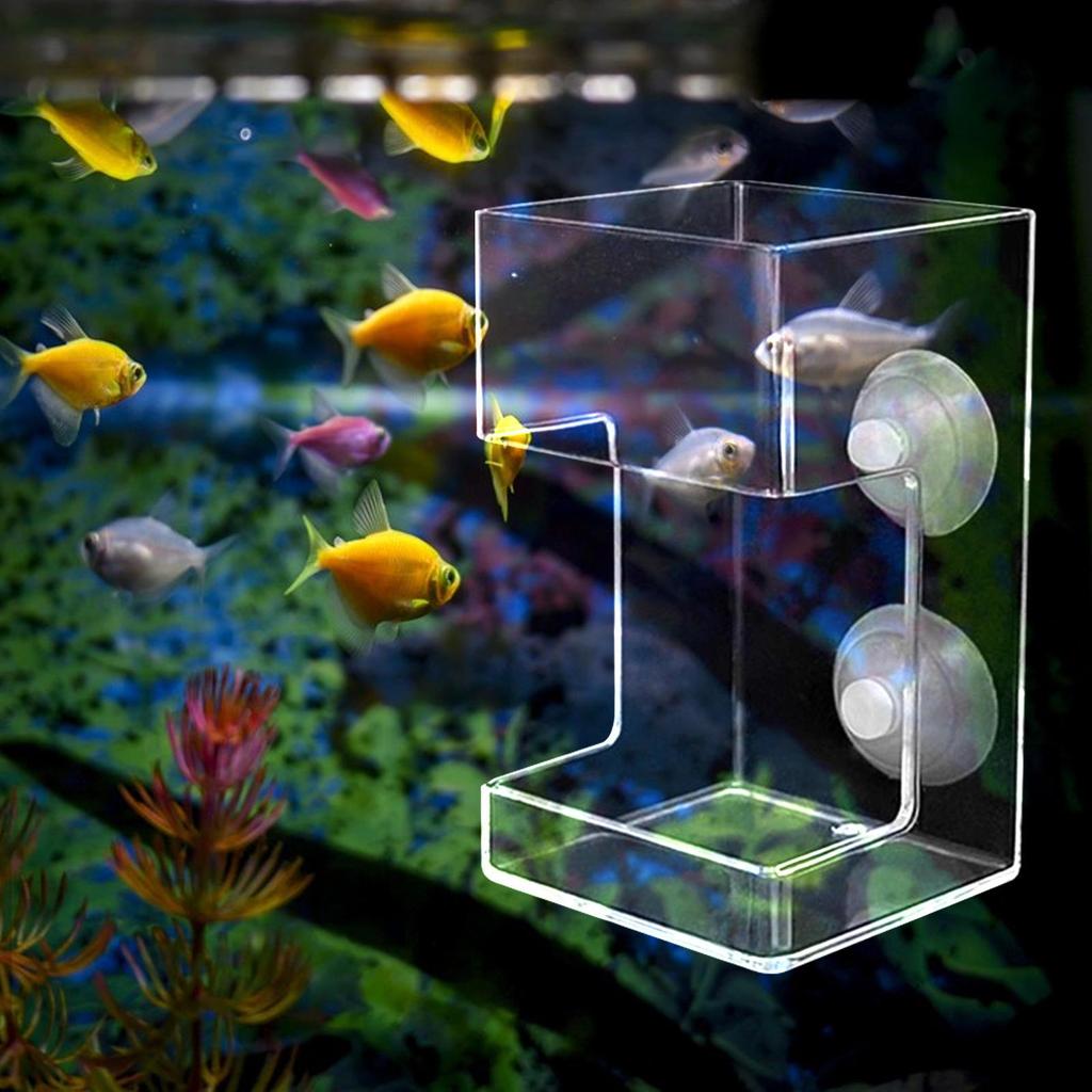 Akryl fiskefôringsrør for akvarium Clear Brine Shrimp Larve Worm