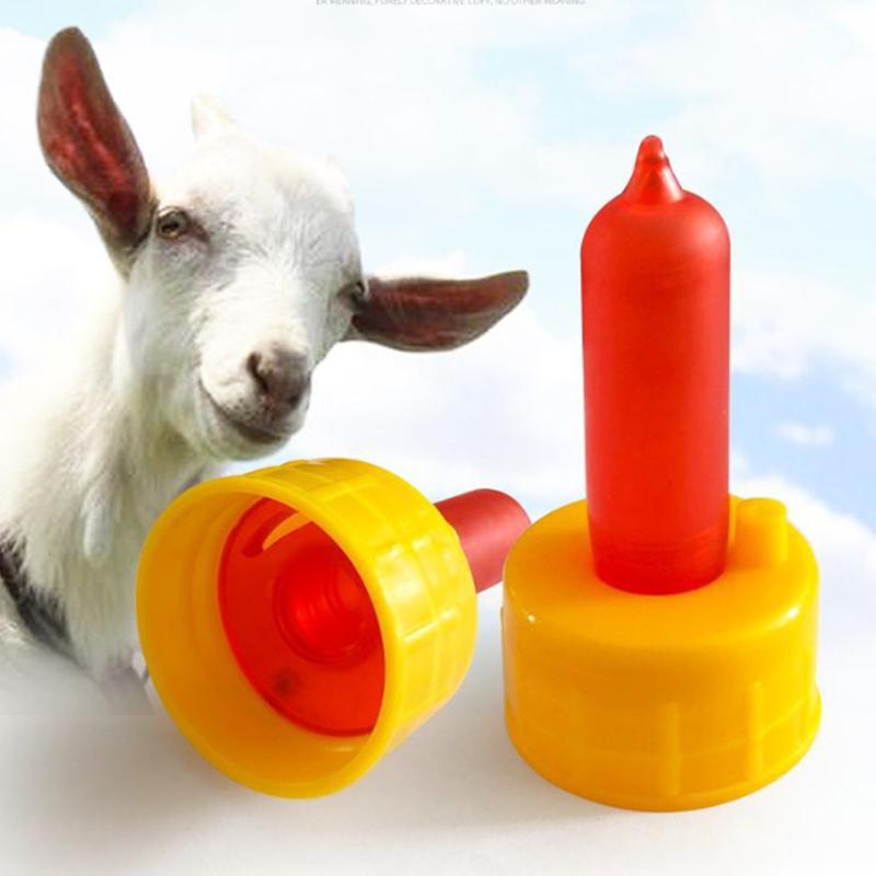 10 Pcs Goat Soft Nipple Pet Special Silicone Baby Milk Mouth Small Animal Lamb Feeding Bottle Sheep Coke Bottle Red Nipple