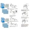 Clear TPU Dashboard Screen Protector Cluster Instruments Protector Film 2pcs For Bike Car Motorcycles Easy Application