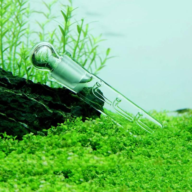 4PCS/Set Aquariums Effective Planarian Catcher for Removing Harmful Organisms from Fish Tanks Durablity Planarian Trap