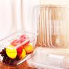 10 Pcs 1/3 Size Clear Food Pan Lids Polycarbonate Universal Handled Hotel Pan Cover Table Catering Plastic Food Pan Lid With Han