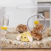 Simulated Buttocks Rabbit Soothing Ball Comfortable Hamster Venting Ball  Small Animal
