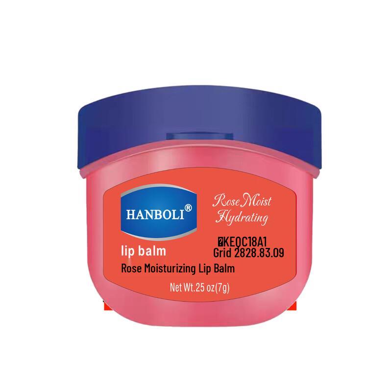 HANBOLI Moisturizing Lip Balm 4-Piece Set